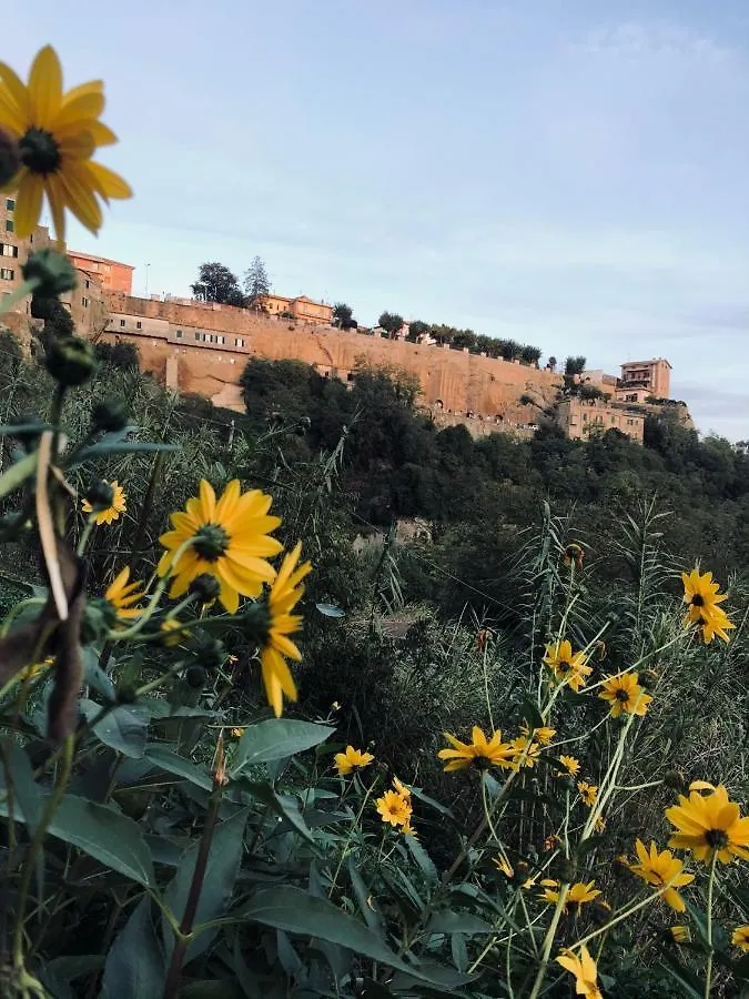 Il Girasole Storico Apartment Pitigliano